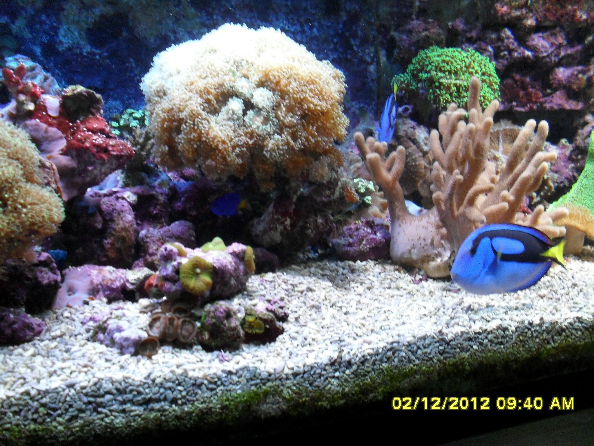 морской аквариум фото