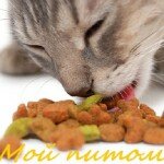 Сухие кошачьи корма