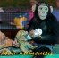 обезьяны шимпанзе достаточно умны